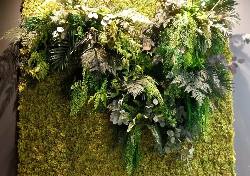 Mur végétal intérieur dans le Grand-Est : une oasis de verdure !