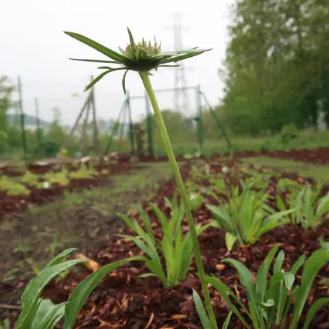 Ferme florale